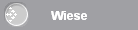 Wiese